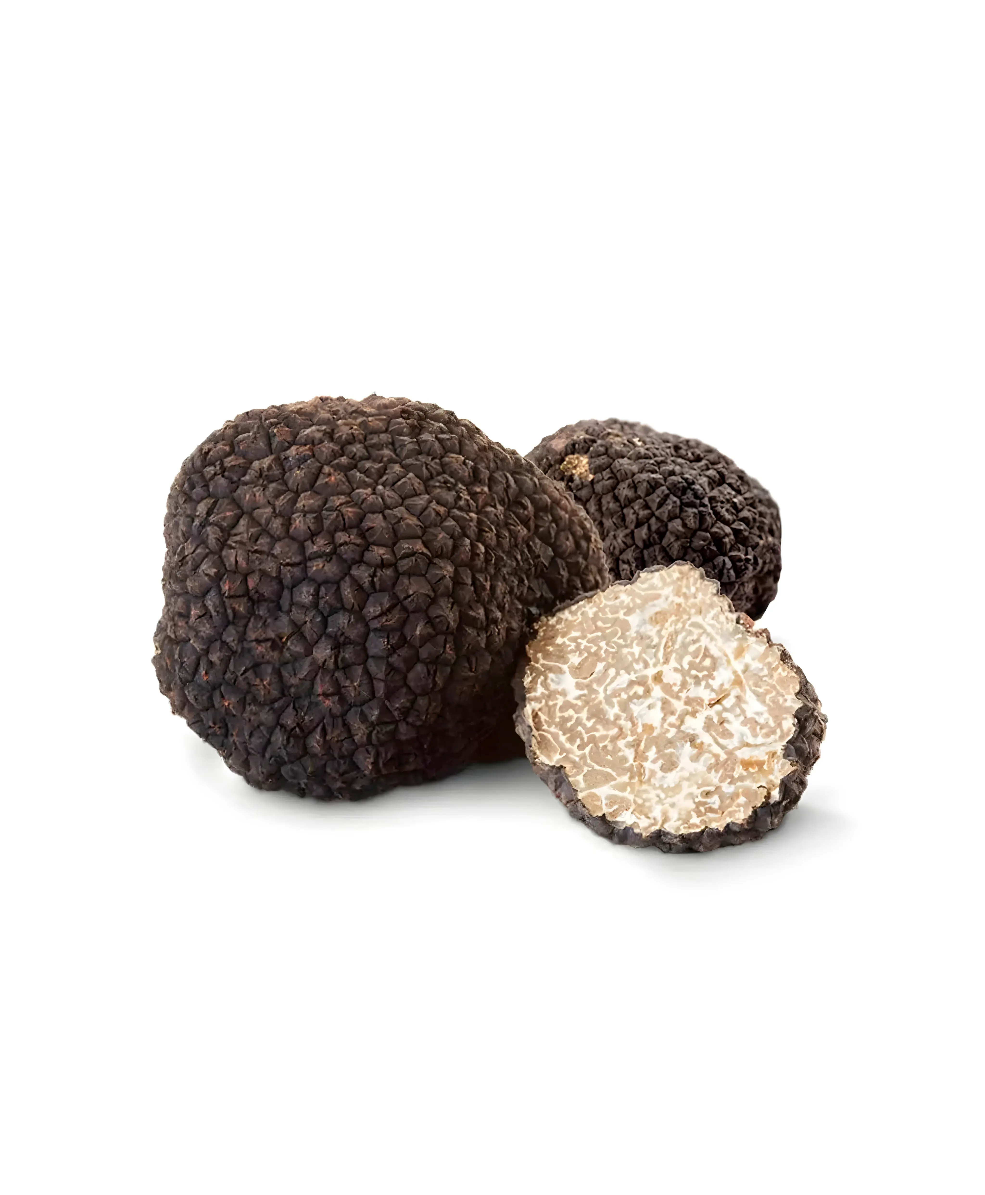 Tartufo d'estate o Scorzone
